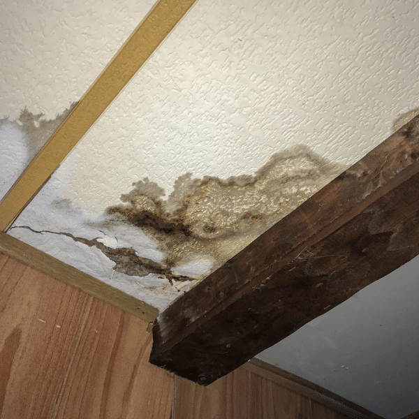 Interior ceiling with water damage from roof leak